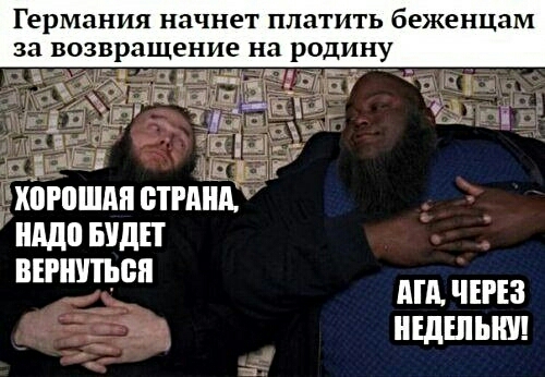Германия начнет ПЛЗТИТЬ беженцам за В Вращение на РОДИНУ г ХШЮШАП ВТРМШ ШШ БУДЕТ вернуться МА ЧЕРЕЗ НЕДШЫШ