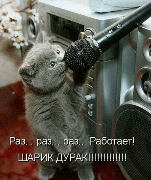 раз ЪЁЗ Работает раШАРИКЁЁРАКННН