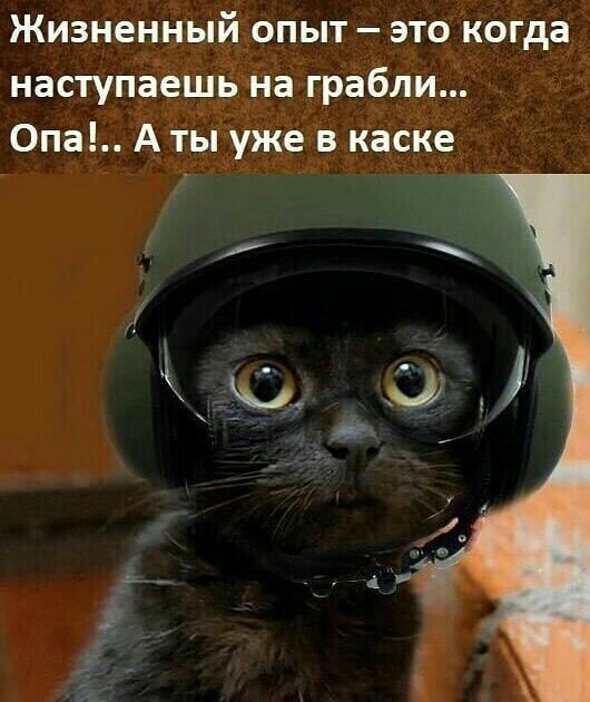Жизненный опыт это когда наступаъешёгна грабли 0па А тыуже в каске
