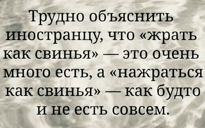_ Трудно объяснить иностранцу что жрать как свинья это очень много есть а нажраться как свинья _ как будто и не есть совсем