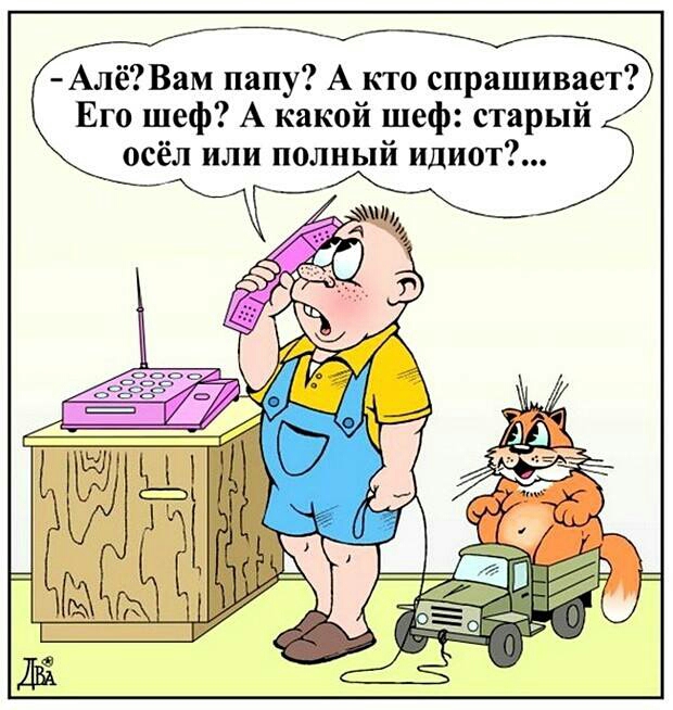 Алё Вам папу А кто спрашивает Его шеф А какой шеф старый осёл или полный идиот