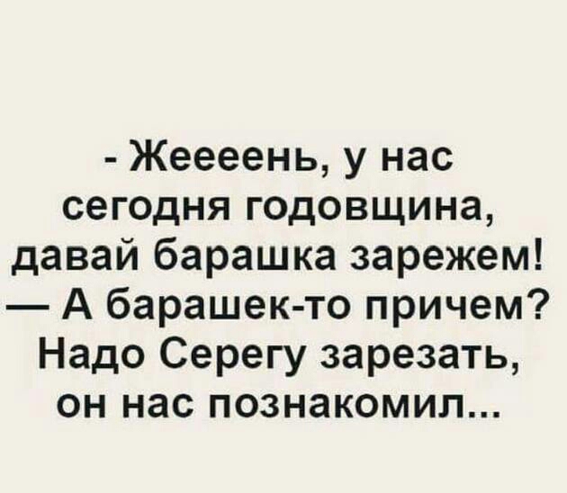 Жеееень у нас сегодня годовщина давай барашка зарежем А барашек то причем Надо Серегу зарезать он нас познакомил