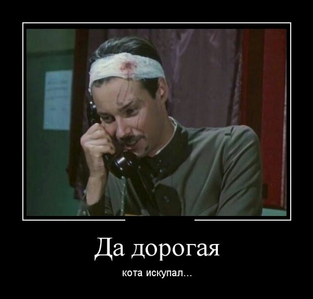 Да дорогая кота ИСКУПЗП