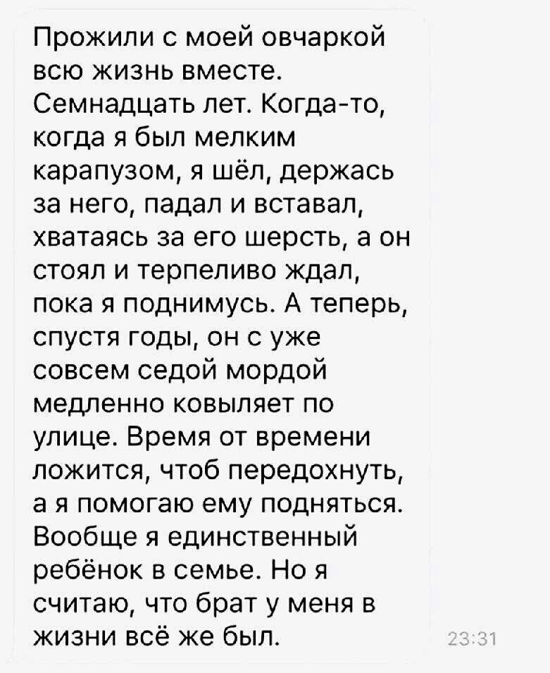 Прожипи с моей овчаркой всю жизнь вместе Семнадцать лет Когда то когда я был мелким карапузом я шёл держась за него падал и вставал хватаясь за его шерсть а он стоял и терпеливо ждал пока я поднимусь А теперь спустя годы он с уже совсем седой мордой медленно ковыляет по улице Время от времени ложится чтоб передохнуть а я помогаю ему подняться Вообще я единственный ребёнок в семье Но я считаю что б