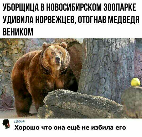 УБОРЩИЦА В НПВПБИБИРСКПМ ЗООПАРКЕ УЛИВИЛА НПРВЕЖЦЕВ ПТПГНАВ МЕДВЕДЯ ВЕНИКОМ _ Ла ХОРОШО ЧТО она ещё не избила его