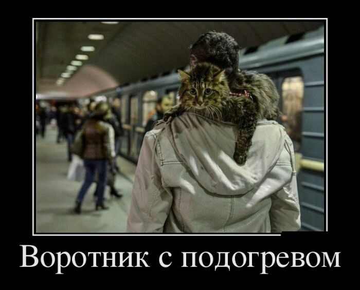 Воротник с подогревом