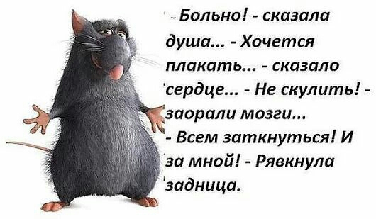 _ Больна сказала душа Хочется плакать сказало сердце Не скулить задрали мозги Всем заткнуться И 7 за мной Рявкнула задница