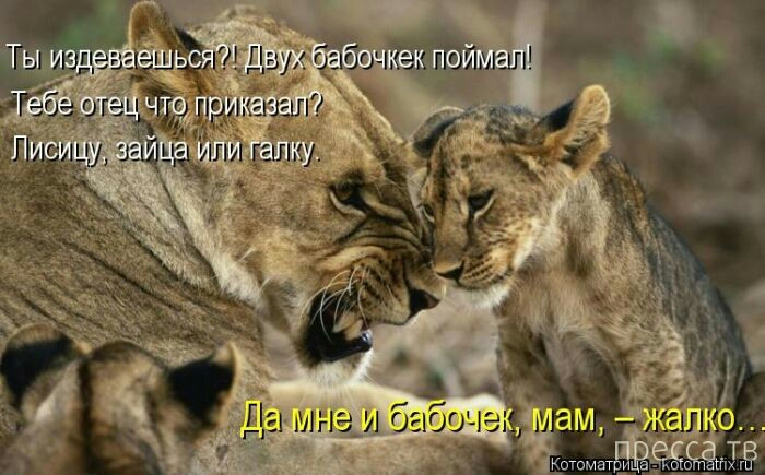Мам днёапііо