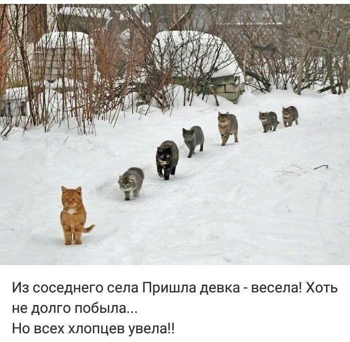 Из соседнего села Пришла девка весела Хоть не долго побыла Но всех хлопцев увела