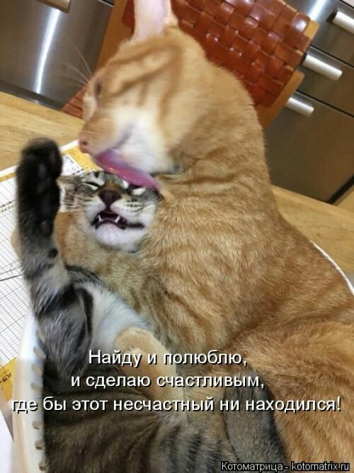 и сделаю бы этот несча шишіпм Кпущшрицф 1 и