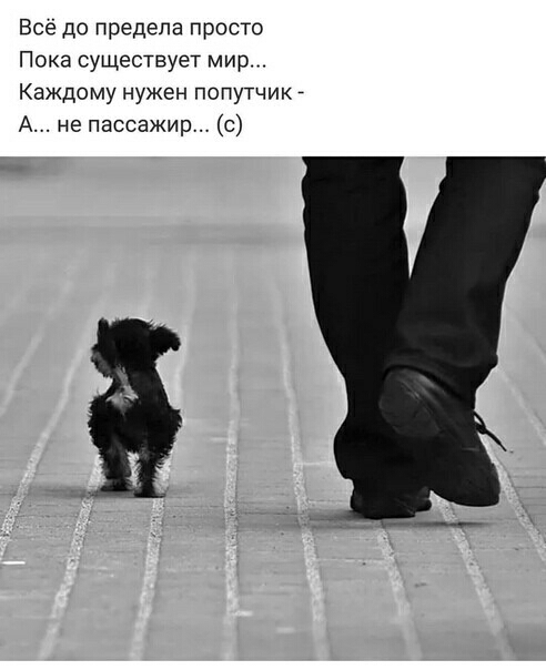 Все до предела просто Пока существует мир Каждому нужен попутчик _ А не пассажир с