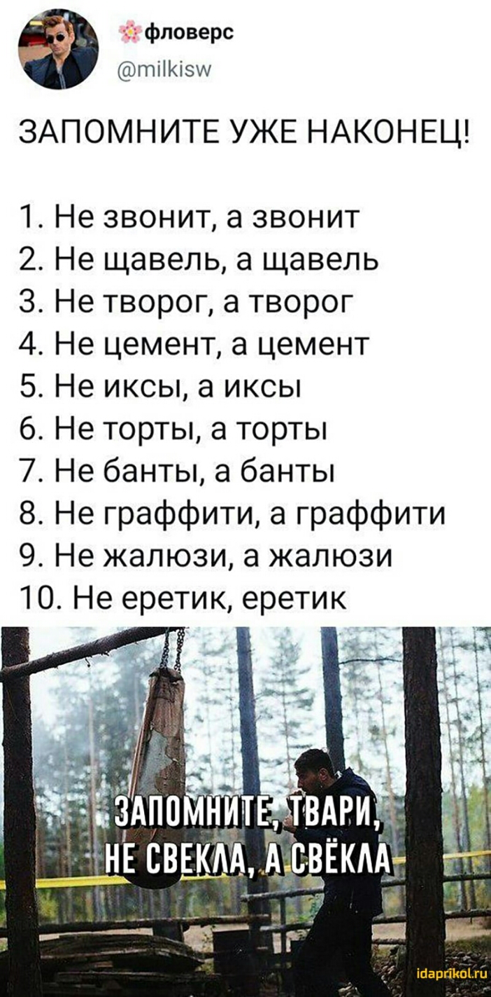фловерс тііКізш ЗАПОМНИТЕ УЖЕ НАКОНЕЦ 1 Не звонит а звонит 2 Не щавель а щавель 3 Не творог а творог 4 Не цемент а цемент 5 Не иксы а иксы 6 Не торты а торты 7 Не банты а банты 8 Не граффити а граффити 9 Не жалюзи а жалюзи 10 Не еретик еретик