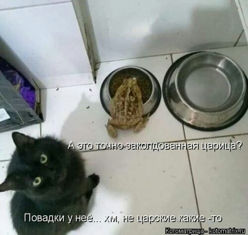 ПОЕЗДКИ У Н Н Ц рд АТС