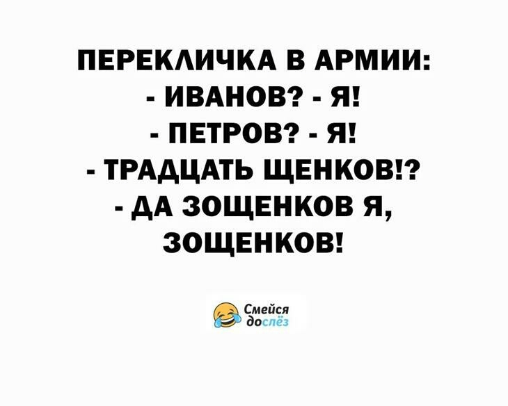 ПЕРЕКАИЧКА В АРМИИ ИВАНОВ Я ПЕТРОВ Я ТРАДЦАТЬ ЩЕНКОВ АА ЗОЩЕНКОВ Я ЗОЩЕНКОВ Смейся дог3