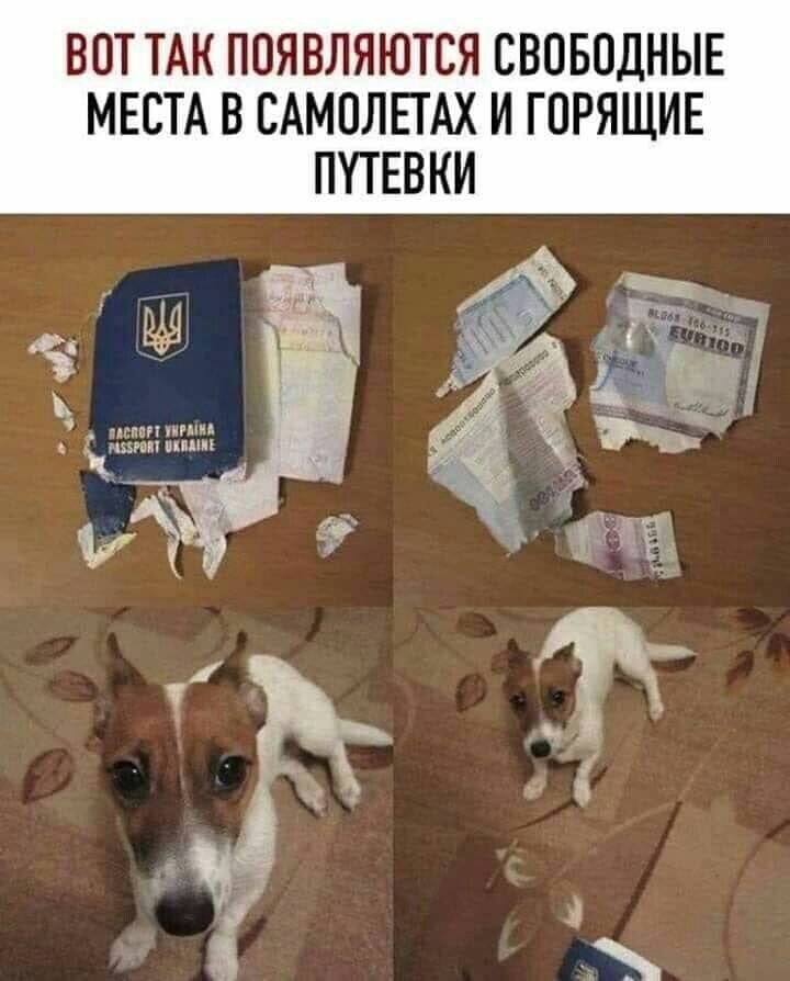 ВОТ ТАК ПОЯВЛЯЮТСЯ СВОБОДНЫЕ МЕСТА В САМОЛЕТАХ И ГОРЯЩИЕ ПУТЕВКИ