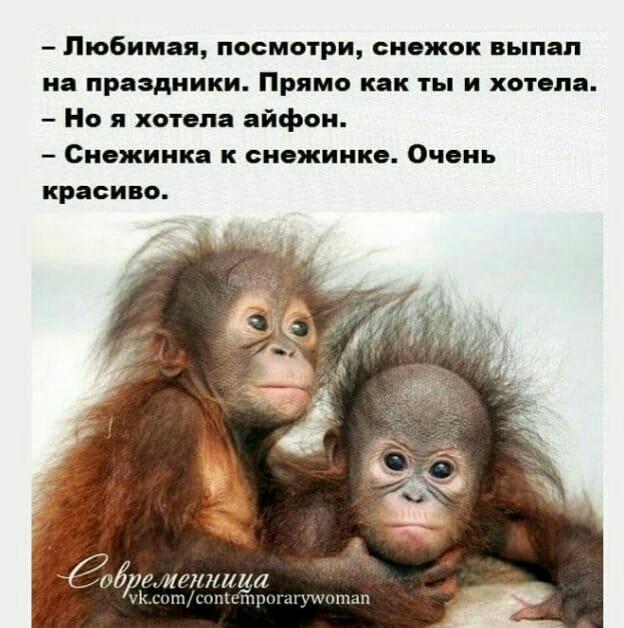 Любимая посмотри снежок выпал на праздники Прямо как ты и хотела Но я хотела айфон Снежинка к снежинка Очень красиво шитн _ пъ