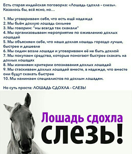 Епь старая индейская потееорка тАешадь сде еаеаы Кааааеев бы все ясно не 1 Мы утевариваем себя что еще еще надежде 2 Мы бь Аохлую лошадь сильнее 3 Мы говорим мы всегда так сканади 4 Мы ортениаевываем мероприятие по оживданию АохАых лошадей 5 Мы объясняем себе что наше АахАая АошаАь горазде лучше быстрее и дешевде 6 Мы сидим возш АошаАи и уговаривает её не быть дохдей 7 Мы покупаем средства которые