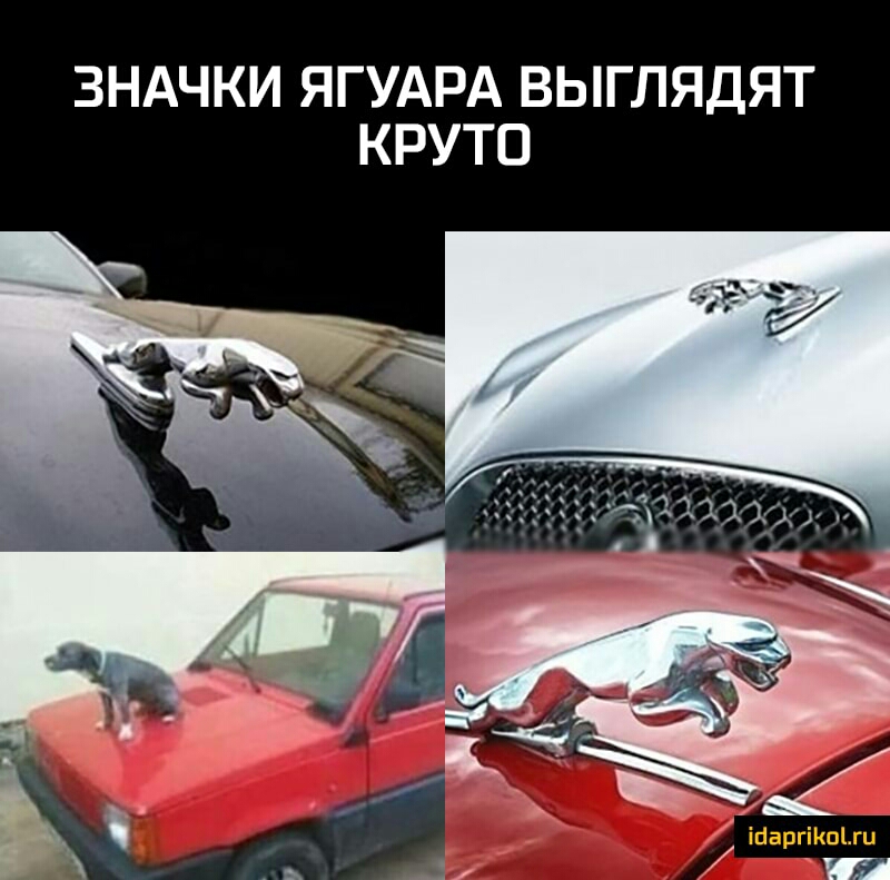 ЗНАЧКИ ЯГУАРА ВЫГЛЯДЯТ КРУТО