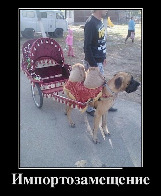 ИМПОРТОЗЗМСЩСНИВ