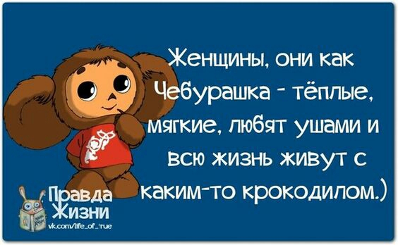 Женщины они как Чебурашка тёплые МЯГКИЗ ЛЮБЯТ УШЭМИ И ВСЮ ЖИЗНЬ ЖИВУТ С авда каким то крокодипом ЁЁ изни итд