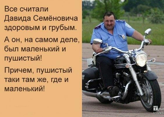 Все считали Давида Семёновича здоровым и грубым А он на самом деле был маленький и пушистый Причем пушистый таки там же где и маленький