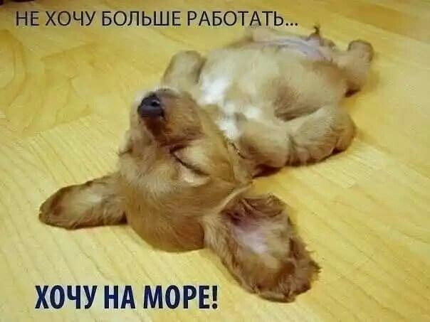 вбпьшв РАБОТАТЬ хочу НА моры