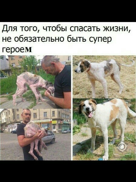 Для того чтобы спасать жизни не обязательно быть супер героем 5 т