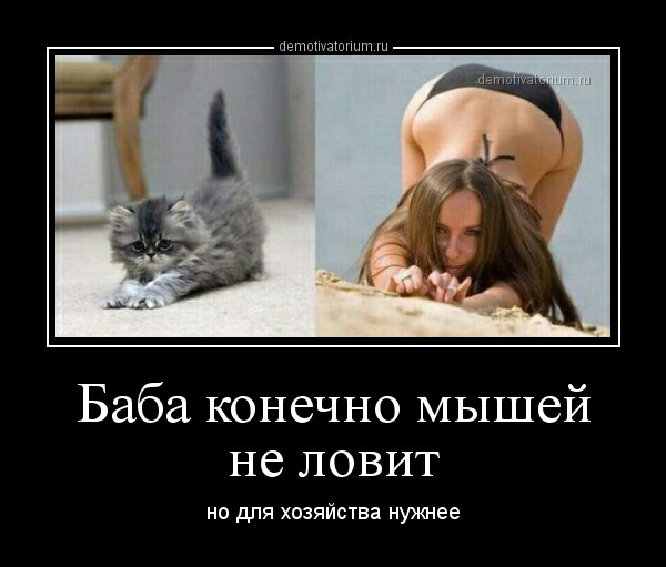 йвтщшашгшт Баба конечно мышей не ловит но для хозяйства нужнее
