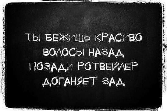 ТЫ БЕЖИШЬ КРАСИВО воАосы ндздд ПОзАди РОТВЕИАЕР АОГАНЯЕТ ам
