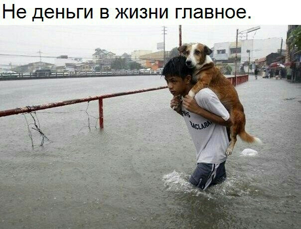 Не деньги В ЖИЗНИ ГЛЭВНОЭ