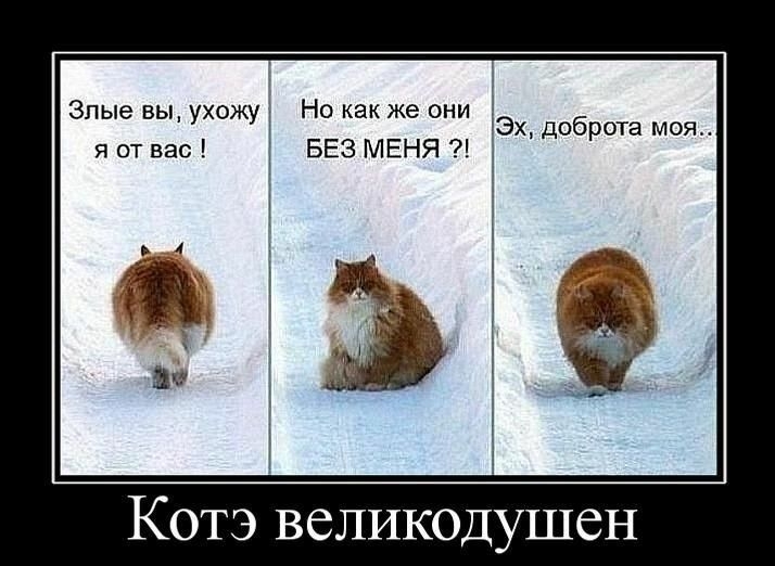 Но как же они Эх доброта моя БЕЗ МЕНЯ Злые вы ухожу я от вас і Ъёд Котэ великодушен