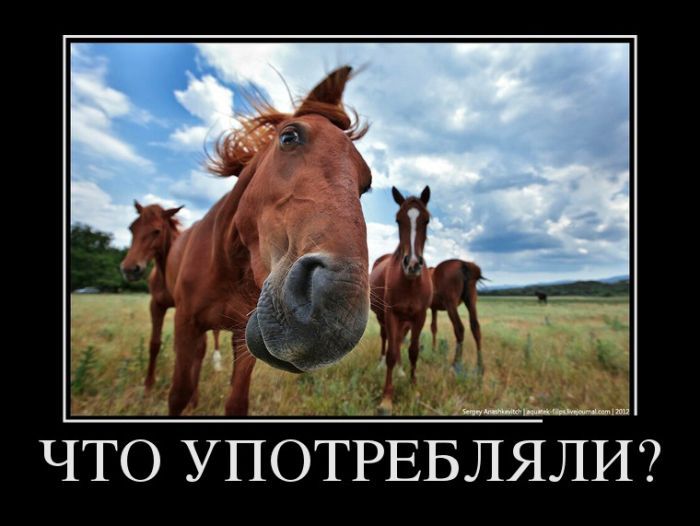 ЧТО УПОТРЕБЛЯЛИ