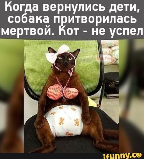 Когда вернулись дети собак п итворилась уер см от не успел