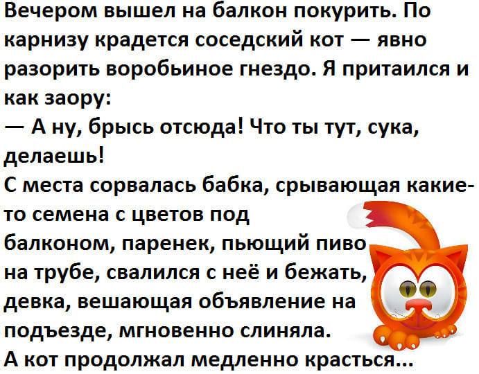Вечером вышел на балкон покурить По карнизу крадется соседский кот явно разорить воробьиное гнездо Я притаился и как заору А ну брысь отсюда Что ты тут сука делаешь С места сорвалась бабка срывающая какие то семена с цветов под балконом паренек пьющий пиво на трубе свалился с неё и бежать девка вещающая объявление на подъезде мгновенно слиняла А кот продолжал медленно красться