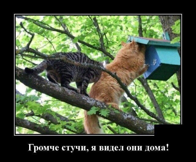 Я видел ОНИ дома Громче стучи