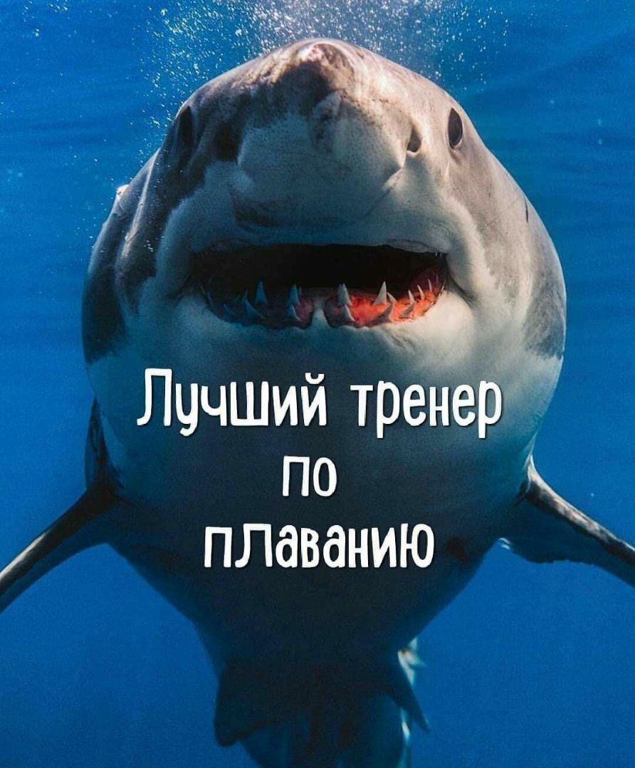 ЛЧЧШий тег по плаванию