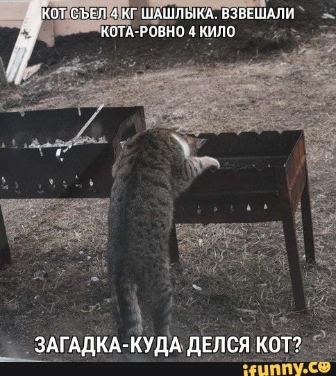 КЩЁЁЁЁПФКГЩАШЛЫКА ВЗВЕШ ШАЛИ