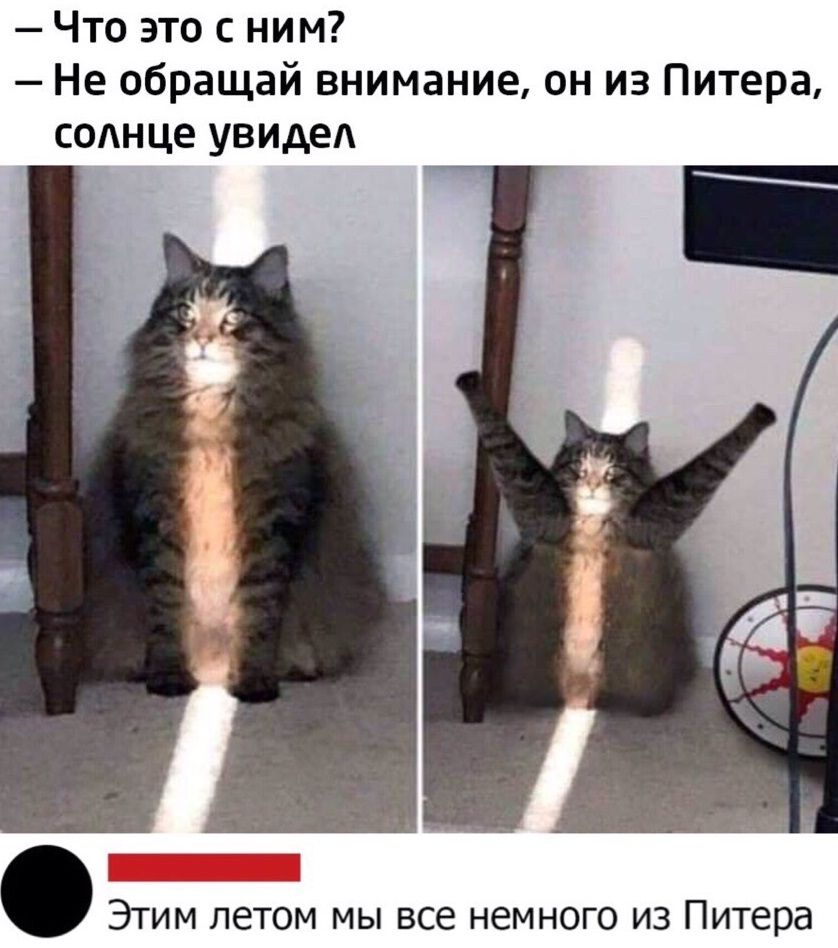 Что это с ним Не обращай внимание он из Питера соднце увидед Этим летом мы все немного из Питера