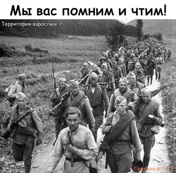 м и т ч и М и н м о п С а В ы М и х ы л с и в я и Р с т и Р Т