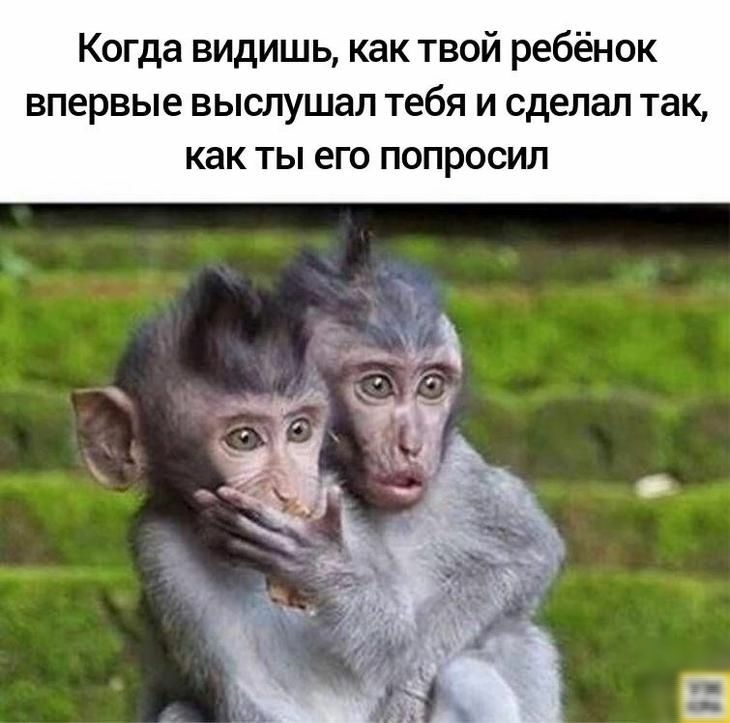 Когда видишь как твой ребёнок впервые выслушал тебя и сделал так как ты его попросил