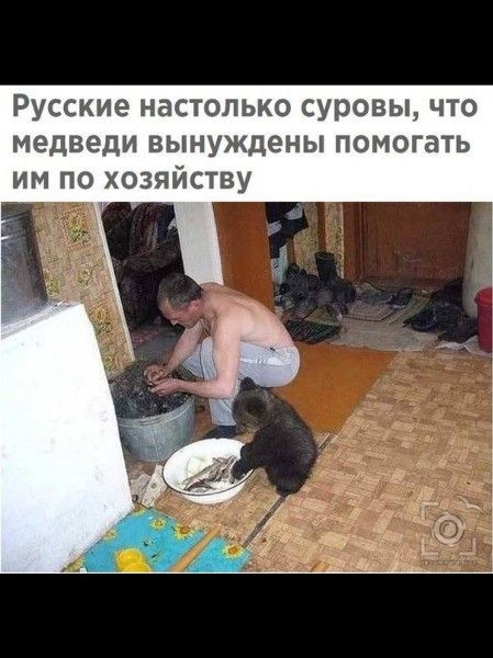 Русские настолько суровы что медведи вынуждены помогать им по хозяйству