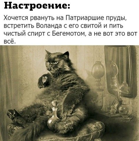 Настроение Хочется рвануть на Патриаршие пруды встретить Воланда с его свитой и пить чистый спирт Бегемотом а не вот это вот всё