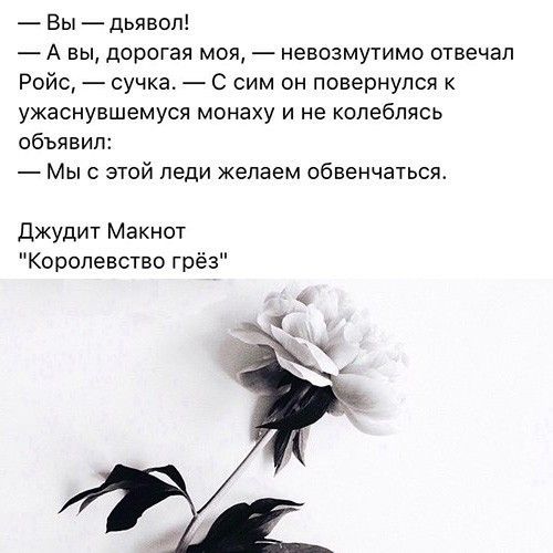 Вы дьявол А вы дорогая моя невозмутимо отвечал Ройс сучка С сим он повернулся к ужаснувшемуся монаху и не колеблясь объявил Мыс этой леди желаем обвенчаться Джудит Макнот Королевство грёз