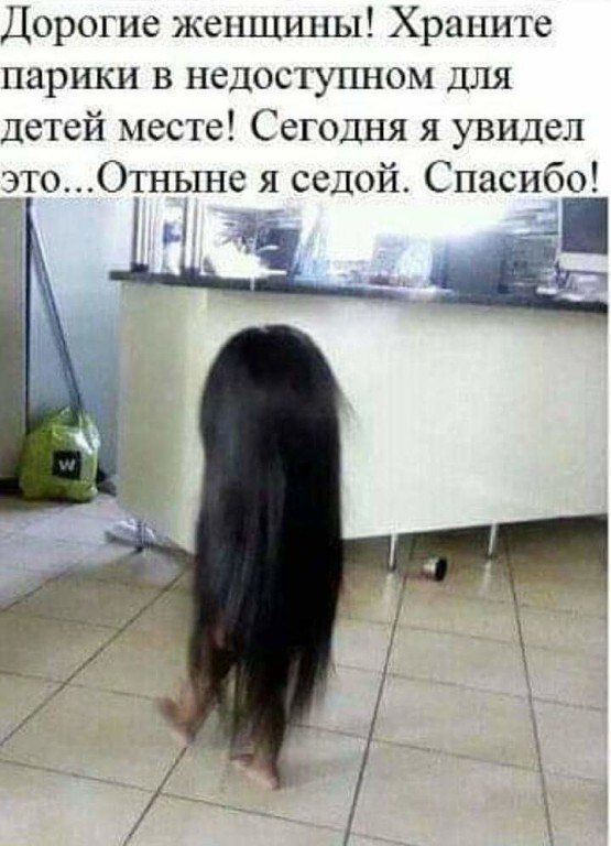 Дорогие женщины Храните парики в недоступном Для Детей месте Сегодня я увидел дтоОТНЬ1не я седой Спасибо ь і _т