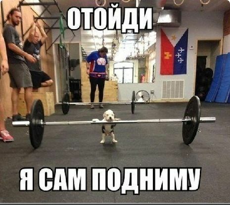 Я ВАМ ППДНИМУ