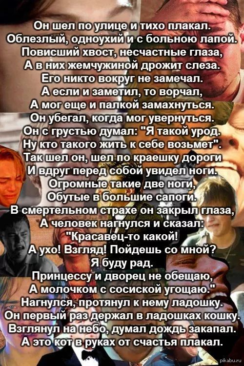Он шел гіо лице итихо плакал Облезлыйдодноу хий и с больною лапой Повисший хвост несчастные глаза А в ниюжемчужиной дрожит слеза 35 Его никто вокруг не замечал изьамётил то ворчал А мог еще и палкой замахнуться 0н убегал когда мог увернуться О_н с грустью тап Я такой ур Ну кто такого жить к себе возьме Такішелн оЁЁшел по краешку дор И вдруг _переобой увидел ноги Огромные такие две ноги пд _т А Обу