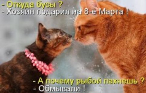 ггцы 941 0571111 10115491111 гіс 5м и 1 гг 4 Ч гой на т