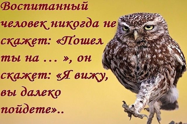 Фоспитанный человекникргда не скажет Пошел ты на он скажет ИвиЮ вы далеко пойдете А