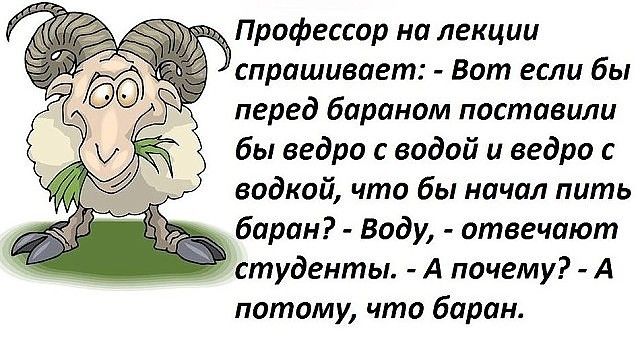 Профессор на лекции спрашивает Вот если бы перед бараном поставили бы ведро с водой и ведро с водкой что бы начал пить _ баран Воду отвечают студенты А почему А потому что баран