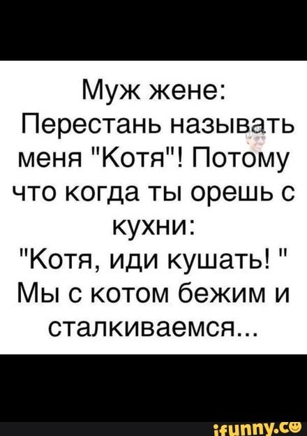 Муж жене Перестань называть меня Котя Потому что когда ты орешь с кухни Котя иди кушать Мы с котом бежим и СТаЛКИВЗЭМСЯ